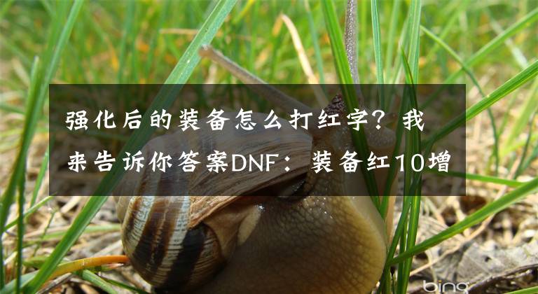 強化后的裝備怎么打紅字？我來告訴你答案DNF：裝備紅10增幅小技巧！成功率能提升，可額外節(jié)省金幣