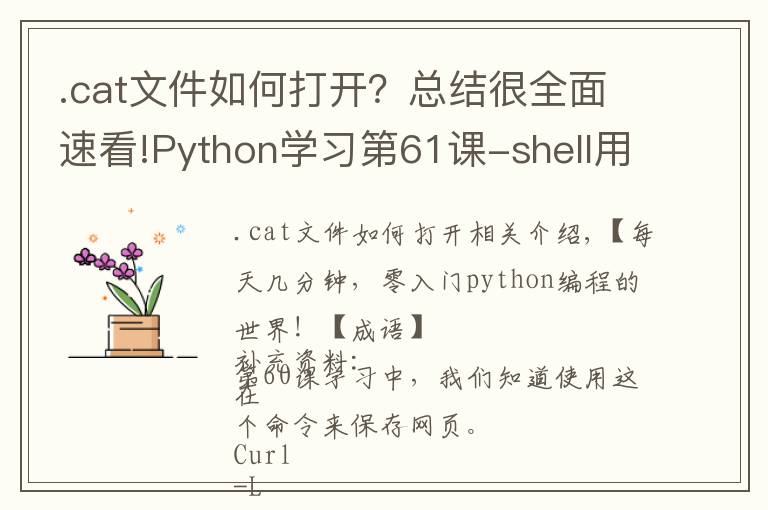 .cat文件如何打開？總結很全面速看!Python學習第61課-shell用cat和less打開文件