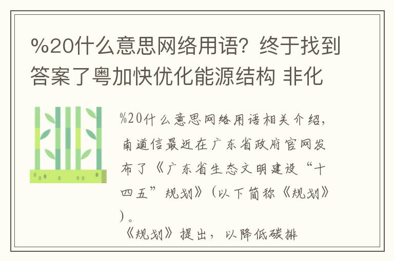 %20什么意思網(wǎng)絡用語？終于找到答案了粵加快優(yōu)化能源結構 非化石能源占一次能源消費比重達29%