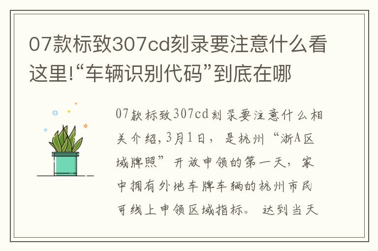 07款標致307cd刻錄要注意什么看這里!“車輛識別代碼”到底在哪兒？