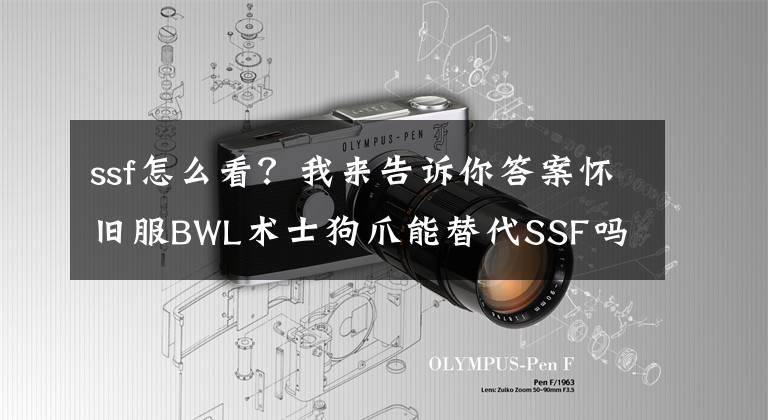 ssf怎么看？我來告訴你答案懷舊服BWL術(shù)士狗爪能替代SSF嗎 收益對比詳解