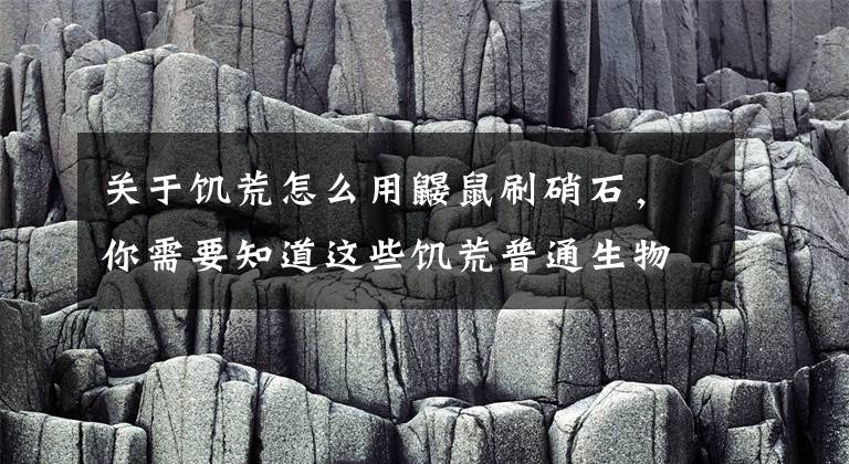 關(guān)于饑荒怎么用鼴鼠刷硝石，你需要知道這些饑荒普通生物圖鑒鼴鼠介紹 饑荒鼴鼠習(xí)性屬性