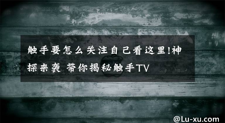 觸手要怎么關(guān)注自己看這里!神探來(lái)襲 帶你揭秘觸手TV