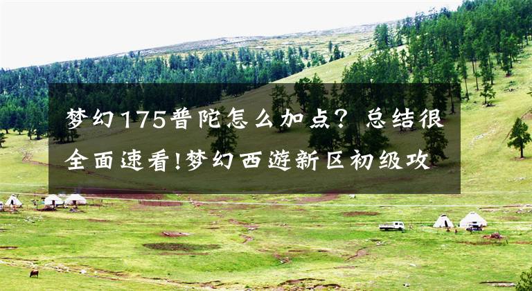 夢幻175普陀怎么加點？總結(jié)很全面速看!夢幻西游新區(qū)初級攻略