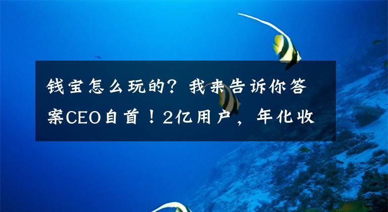 錢寶怎么玩的？我來告訴你答案CEO自首！2億用戶，年化收益率高達40%的錢寶網是怎么玩崩的？