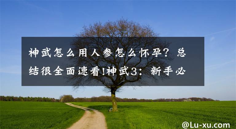 神武怎么用人參怎么懷孕？總結(jié)很全面速看!神武3：新手必備 性?xún)r(jià)比最高的子女