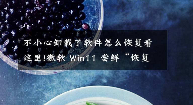 不小心卸載了軟件怎么恢復(fù)看這里!微軟 Win11 嘗鮮“恢復(fù)應(yīng)用程序”功能