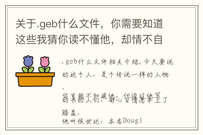 關(guān)于.geb什么文件，你需要知道這些我猜你讀不懂他，卻情不自禁地佩服