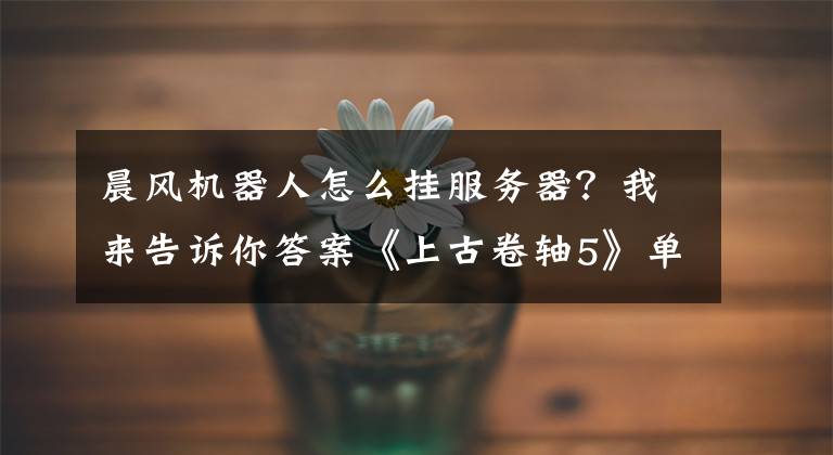 晨風(fēng)機器人怎么掛服務(wù)器？我來告訴你答案《上古卷軸5》單雙手武器使用心得