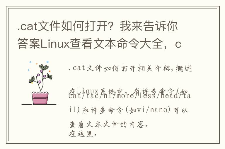 .cat文件如何打開？我來告訴你答案Linux查看文本命令大全，cat/tac/nl/more/less/head/tail/vi