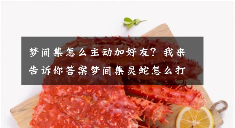 夢(mèng)間集怎么主動(dòng)加好友？我來告訴你答案夢(mèng)間集靈蛇怎么打 夢(mèng)間集打靈蛇要不要帶奶