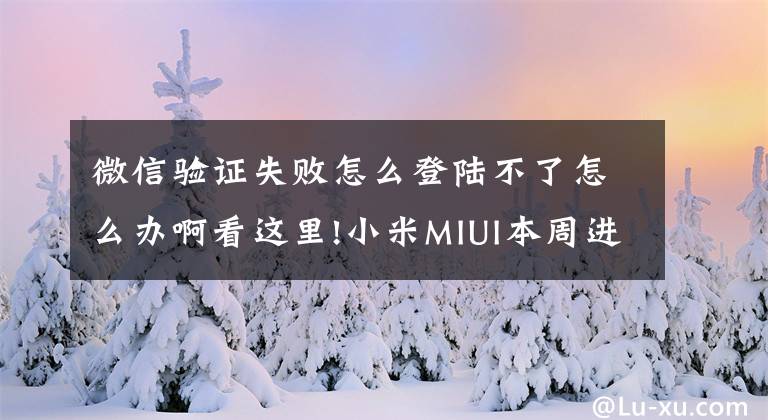 微信驗證失敗怎么登陸不了怎么辦啊看這里!小米MIUI本周進展：正進一步排查勿擾模式打開后對微信無效的問題