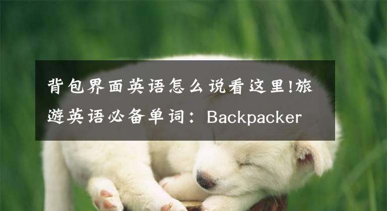 背包界面英語怎么說看這里!旅游英語必備單詞：Backpacker Hostel