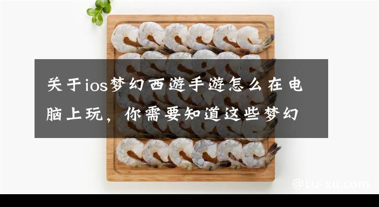 關(guān)于ios夢幻西游手游怎么在電腦上玩，你需要知道這些夢幻西游手游蘋果版怎么在電腦上玩 蘋果電腦版問題解答