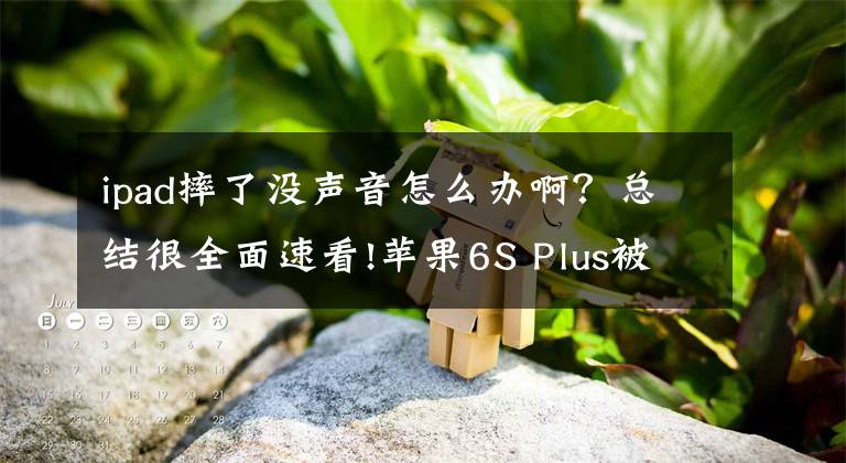 ipad摔了沒聲音怎么辦啊？總結(jié)很全面速看!蘋果6S Plus被摔后不能照相聽簡無聲音多故障維修