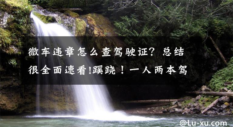 微車違章怎么查駕駛證？總結(jié)很全面速看!蹊蹺！一人兩本駕照 都是真的 原來他有兩個戶口