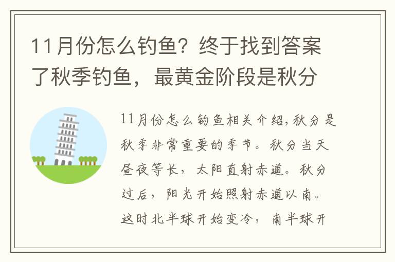 11月份怎么釣魚？終于找到答案了秋季釣魚，最黃金階段是秋分前后，這些招數(shù)要常用，漁獲猛增幾倍