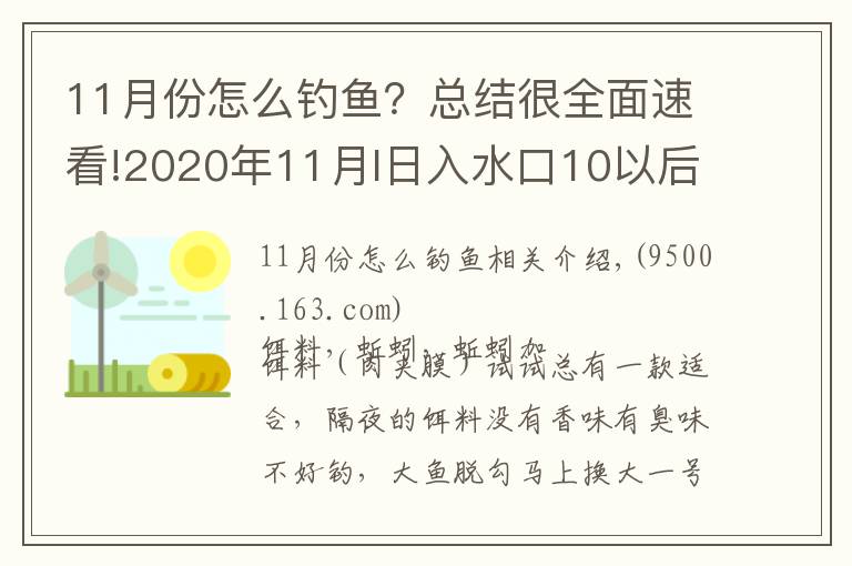 11月份怎么釣魚？總結(jié)很全面速看!2020年11月I日入水口10以后鯽魚開口