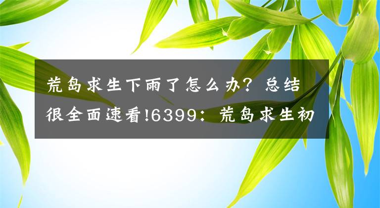 荒島求生下雨了怎么辦？總結(jié)很全面速看!6399：荒島求生初期水資源獲取方法詳解