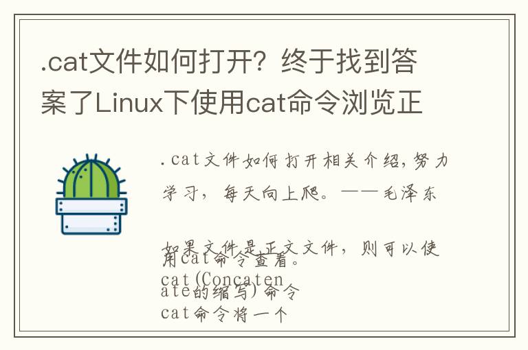 .cat文件如何打開？終于找到答案了Linux下使用cat命令瀏覽正文文件