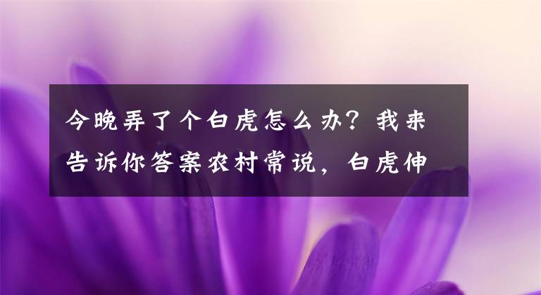 今晚弄了個(gè)白虎怎么辦？我來(lái)告訴你答案農(nóng)村常說(shuō)，白虎伸頭，必有一傷，這句俗語(yǔ)中的傳說(shuō)是真的嗎？