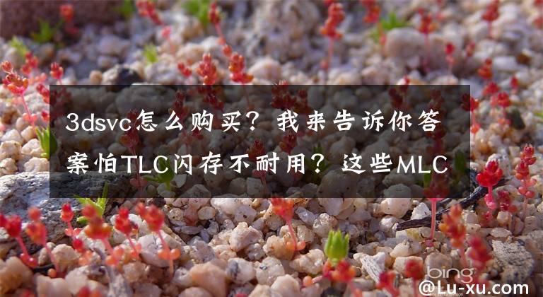 3dsvc怎么購(gòu)買(mǎi)？我來(lái)告訴你答案怕TLC閃存不耐用？這些MLC SSD值得考慮