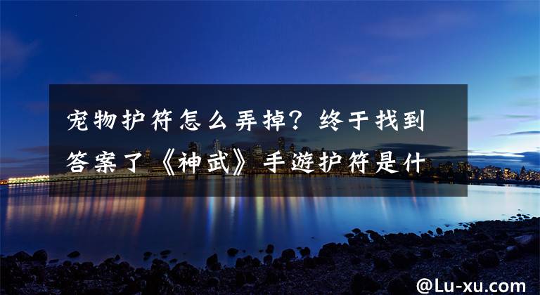 寵物護符怎么弄掉？終于找到答案了《神武》手游護符是什么 寵物護符誤區(qū)解析