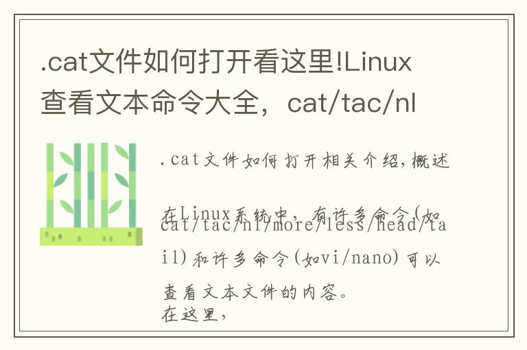 .cat文件如何打開看這里!Linux查看文本命令大全，cat/tac/nl/more/less/head/tail/vi