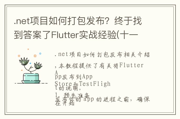 .net項目如何打包發(fā)布？終于找到答案了Flutter實(shí)戰(zhàn)經(jīng)驗(十一)：打包和發(fā)布到 iOS 平臺