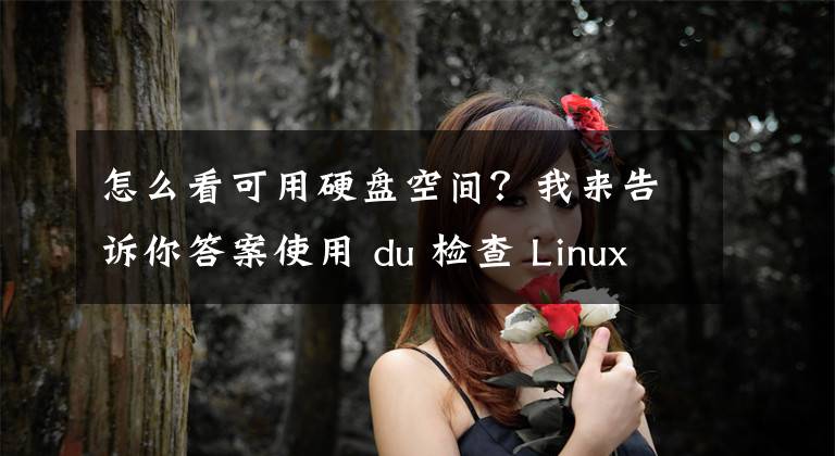 怎么看可用硬盤(pán)空間？我來(lái)告訴你答案使用 du 檢查 Linux 上已用的磁盤(pán)空間