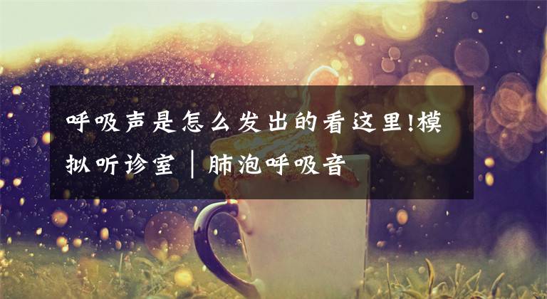 呼吸聲是怎么發(fā)出的看這里!模擬聽(tīng)診室｜肺泡呼吸音