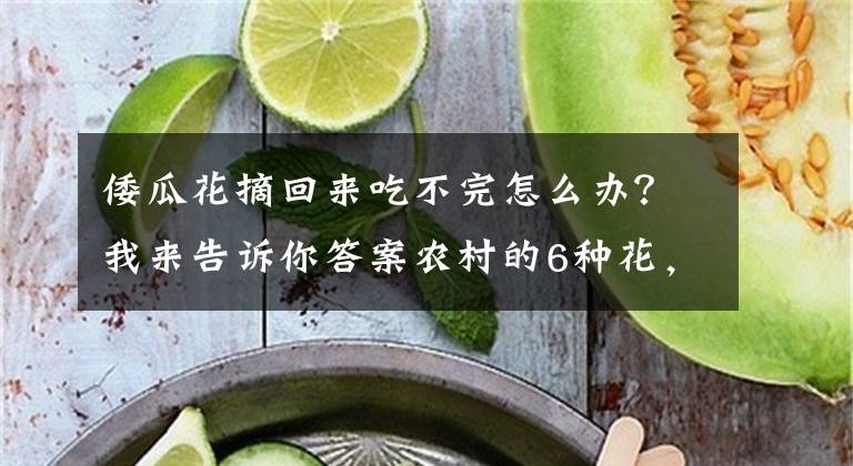 倭瓜花摘回來吃不完怎么辦？我來告訴你答案農(nóng)村的6種花，烙餅子、炒菜、燉湯···再晚沒得吃了