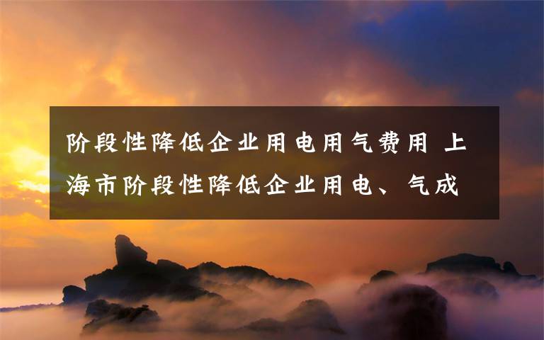 階段性降低企業(yè)用電用氣費(fèi)用 上海市階段性降低企業(yè)用電、氣成本促進(jìn)企業(yè)復(fù)工