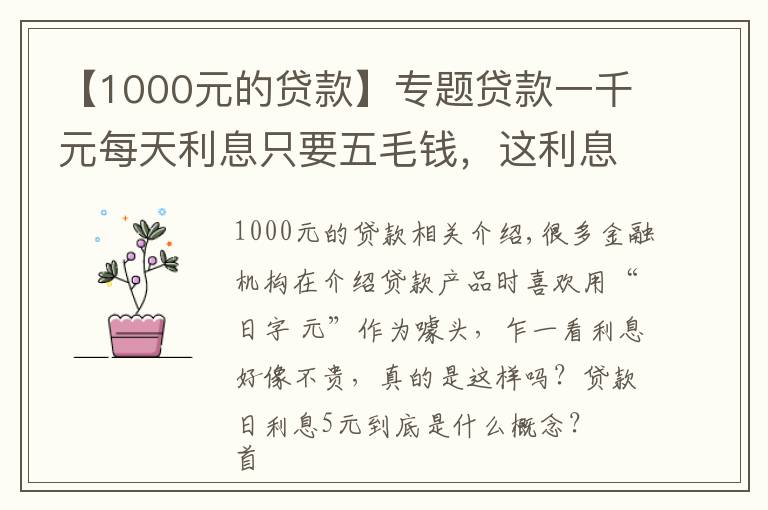 【1000元的貸款】專題貸款一千元每天利息只要五毛錢，這利息是高還是低？