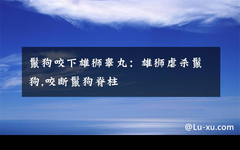 鬣狗咬下雄獅睪丸：雄獅虐殺鬣狗,咬斷鬣狗脊柱