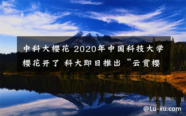 中科大櫻花 2020年中國科技大學(xué)櫻花開了 科大即日推出“云賞櫻” 附賞花攻略