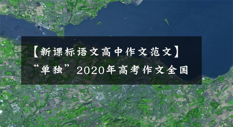 【新課標語文高中作文范文】“單獨”2020年高考作文全國I卷深度分析及范文(2)