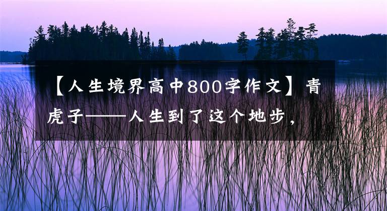 【人生境界高中800字作文】青虎子——人生到了這個地步，應該好好領悟一下