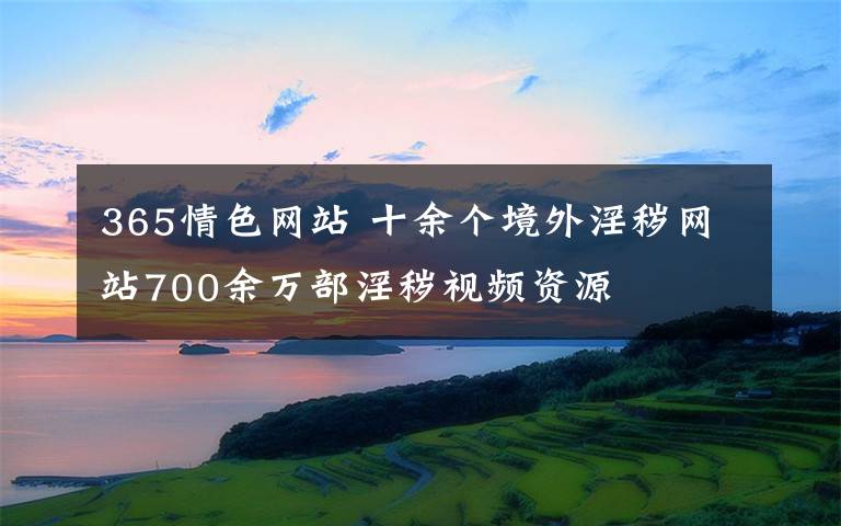 365情色網(wǎng)站 十余個境外淫穢網(wǎng)站700余萬部淫穢視頻資源