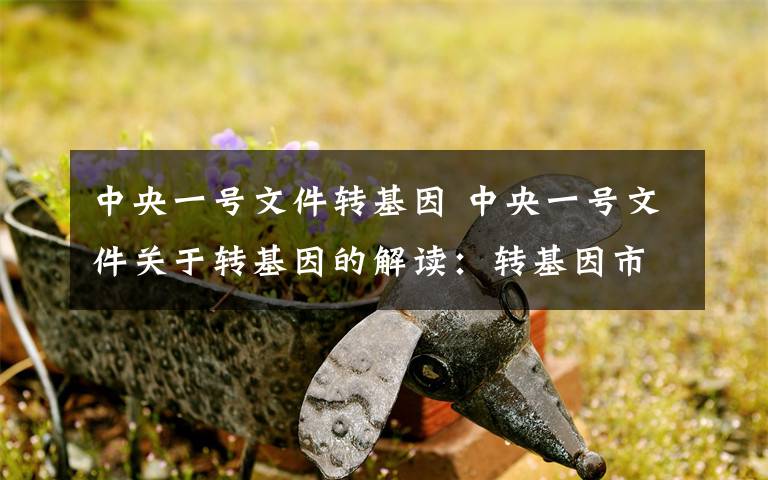 中央一號文件轉(zhuǎn)基因 中央一號文件關(guān)于轉(zhuǎn)基因的解讀：轉(zhuǎn)基因市場不能讓外國產(chǎn)品占領(lǐng)