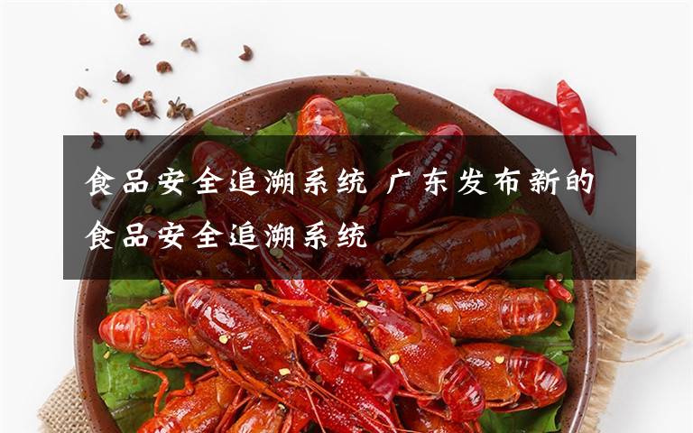 食品安全追溯系統(tǒng) 廣東發(fā)布新的食品安全追溯系統(tǒng)