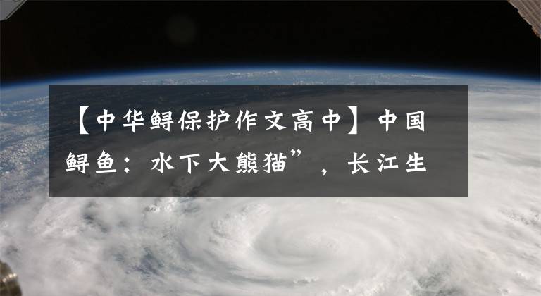 【中華鱘保護作文高中】中國鱘魚：水下大熊貓”，長江生態(tài)保護的旗幟