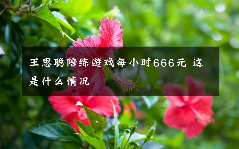 王思聰陪練游戲每小時(shí)666元 這是什么情況