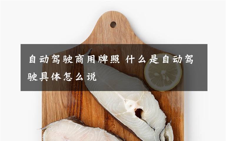 自動(dòng)駕駛商用牌照 什么是自動(dòng)駕駛具體怎么說