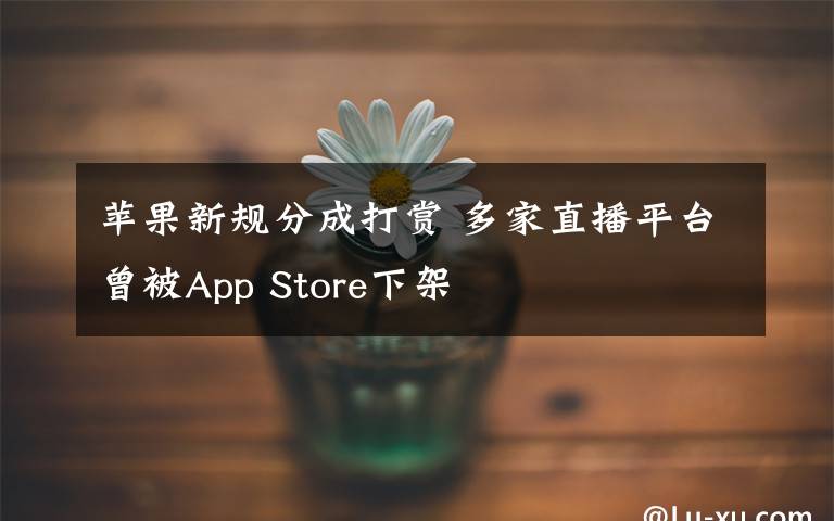 蘋果新規(guī)分成打賞 多家直播平臺曾被App Store下架