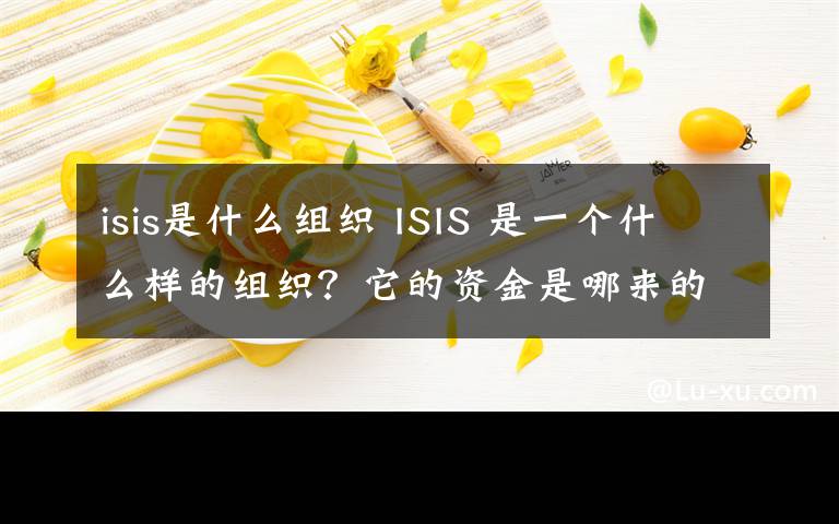 isis是什么組織 ISIS 是一個什么樣的組織？它的資金是哪來的？