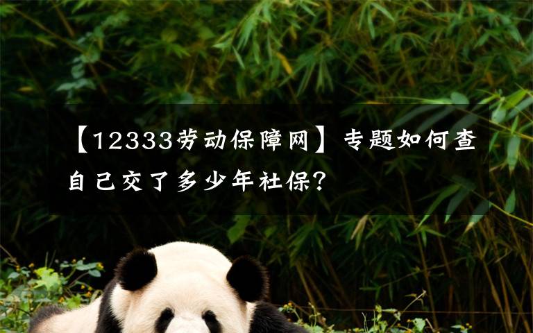 【12333勞動保障網(wǎng)】專題如何查自己交了多少年社保？