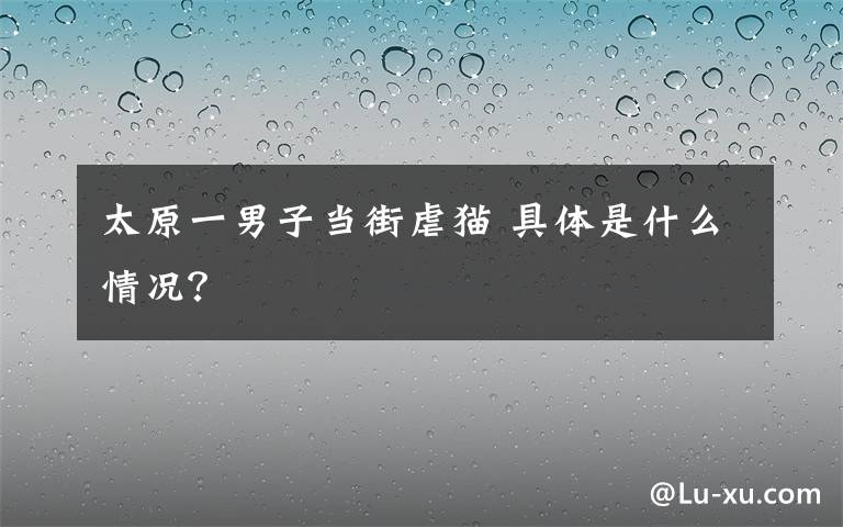 太原一男子當(dāng)街虐貓 具體是什么情況？