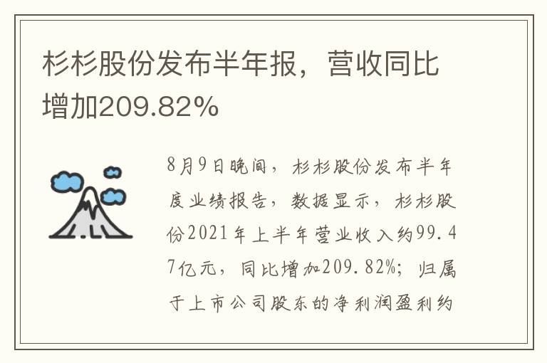 杉杉股份發(fā)布半年報，營收同比增加209.82%