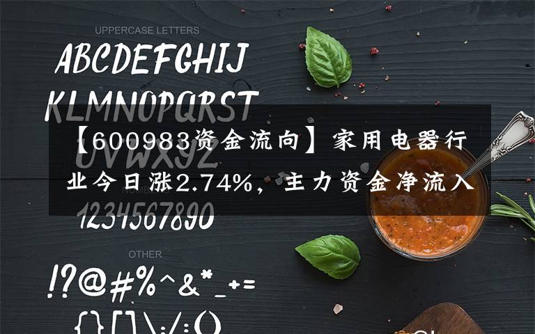 【600983資金流向】家用電器行業(yè)今日漲2.74%，主力資金凈流入7.43億元